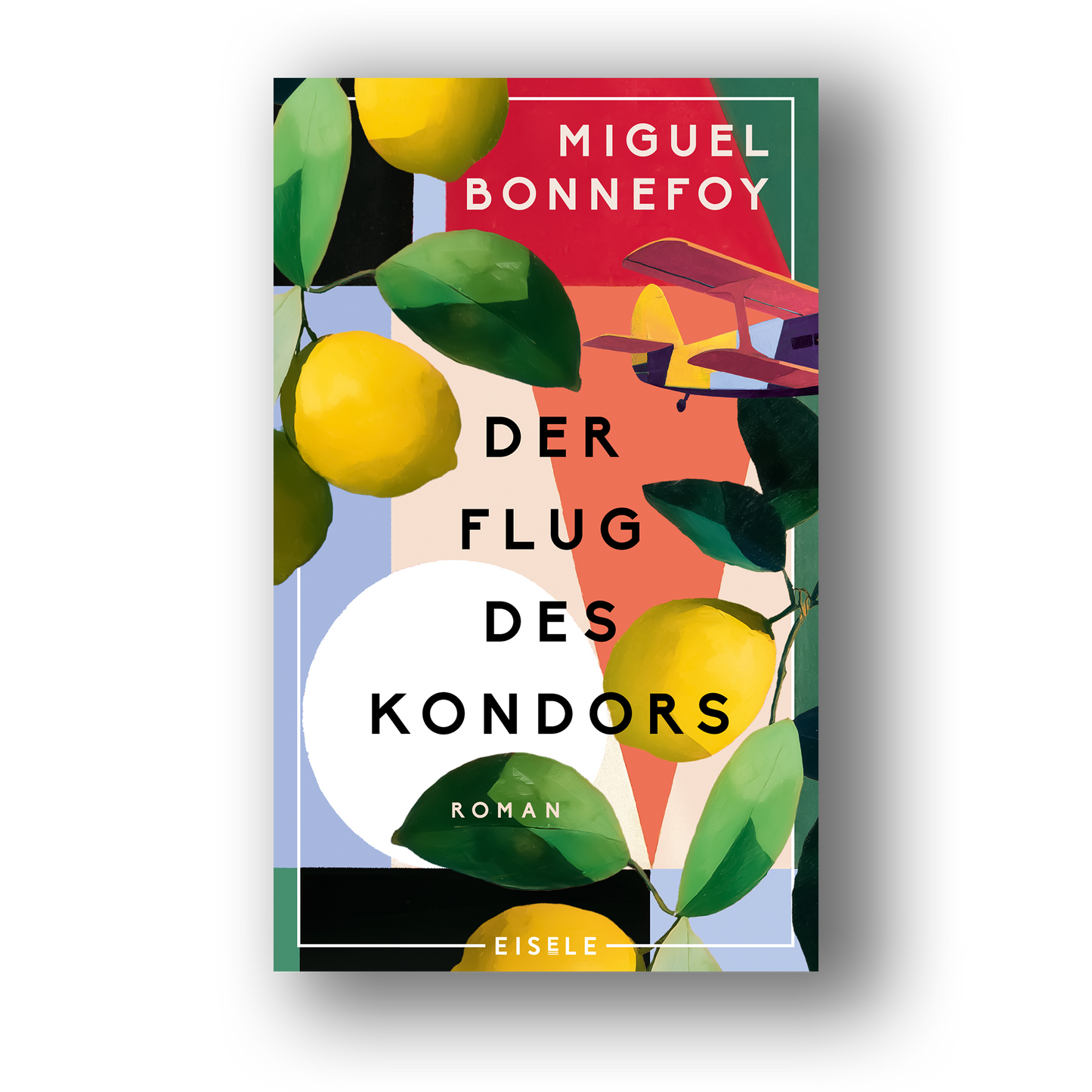 Der Flug des Kondors