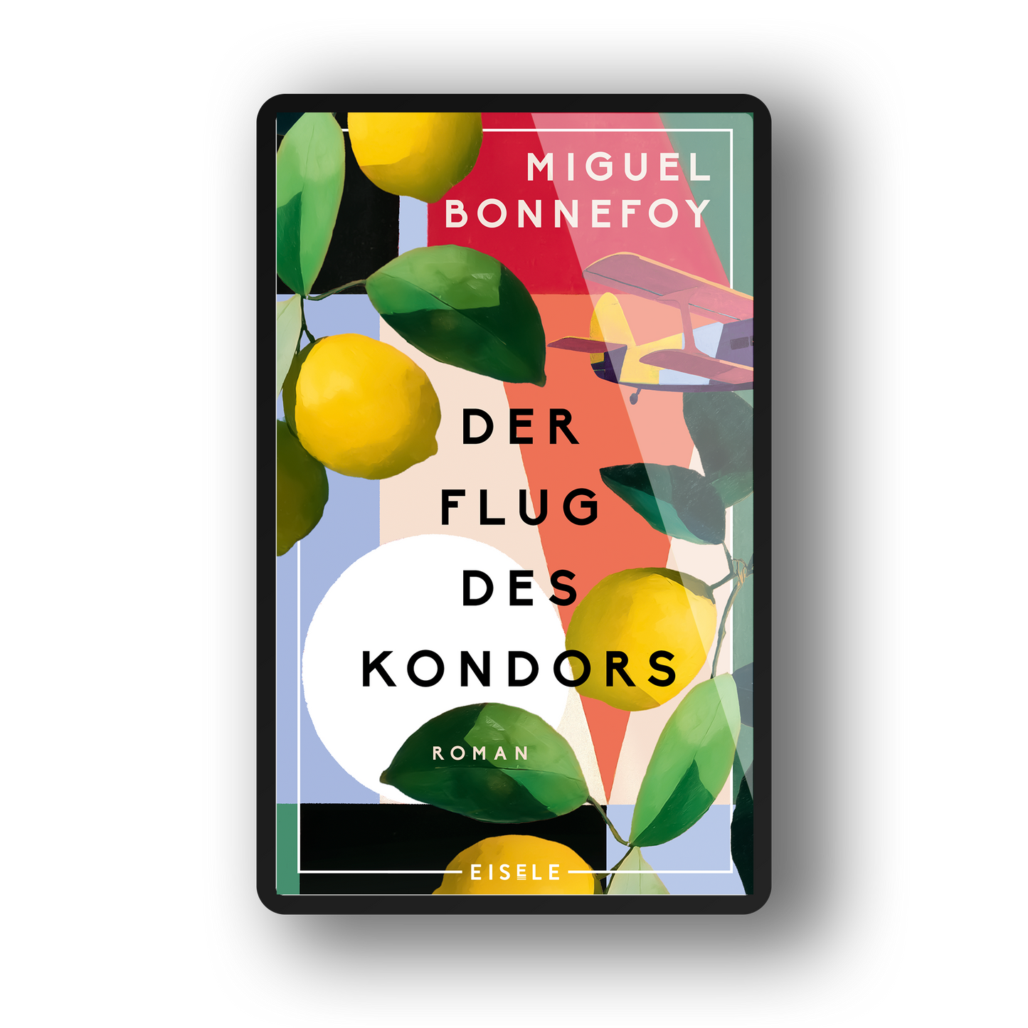 Der Flug des Kondors